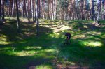 Foto10.JPG