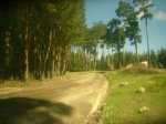 Foto13.JPG