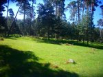 Foto8.JPG
