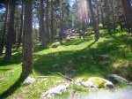 Foto18.JPG