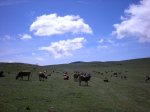 OÃ±a 2010 027.jpg