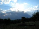 DSCN8501.jpg