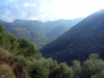 DSCN8503.jpg