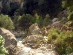 DSCN8562.jpg