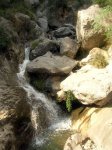 DSCN8561.jpg