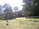 DSCN3277.JPG