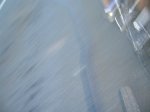 DSCN3279.JPG