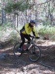 IMG_0538to6.jpg