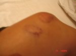 Imagen 298.jpg