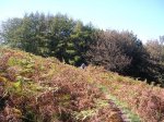 URBASA-2006-09-23 034.jpg