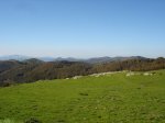 URBASA-2006-09-23 021.jpg