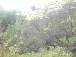 hoces del rio dulce 003.jpg