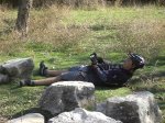 hoces del rio dulce 031.jpg