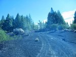 IMG_3914_900.JPG