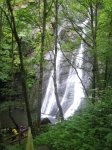 IMG_6585.jpg