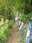 IMG_6583.jpg