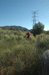 La Vall 2010 101.jpg