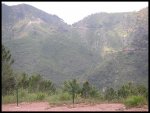 PICT0124.jpg