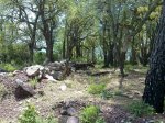 29052010256.jpg