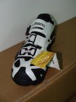 DSC04616.jpg