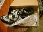 DSC05506.jpg