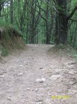 100_4748.jpg