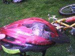 bicis Pineda 035.jpg