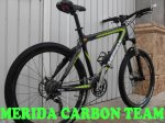 MERIDA CARBON 2.jpg