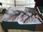 29052010024.jpg