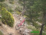2ÂºPilon 03-06-2010.jpg
