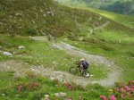 gr5_04181.jpg