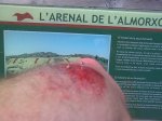 Imagen024.jpg