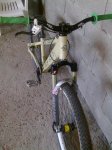 03062010367.jpg