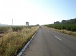 DSC04004.jpg