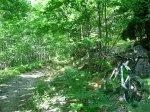 DSCN2566.JPG