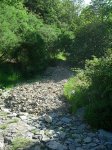 DSCN2578.JPG