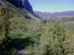 P03-06-10_09.54.jpg