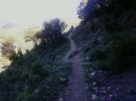 P03-06-10_09.05.jpg