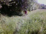 P03-06-10_10.09.jpg