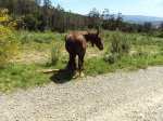 DSC01129.jpg