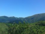 DSC00606.jpg