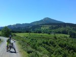 DSC00596.jpg