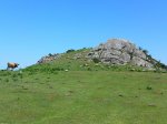 DSC00600.jpg