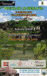 cartel villaviciosa.jpg