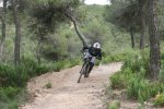 Alvaro4.jpg