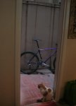 DSCN0924.jpg