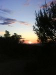 DSC01350.jpg