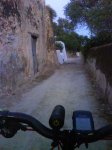 DSC01352.jpg