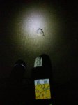 DSC01355.jpg