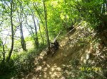 100_2376.jpg